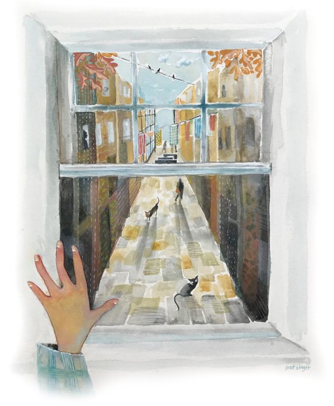 ILLUSTRATION The Window